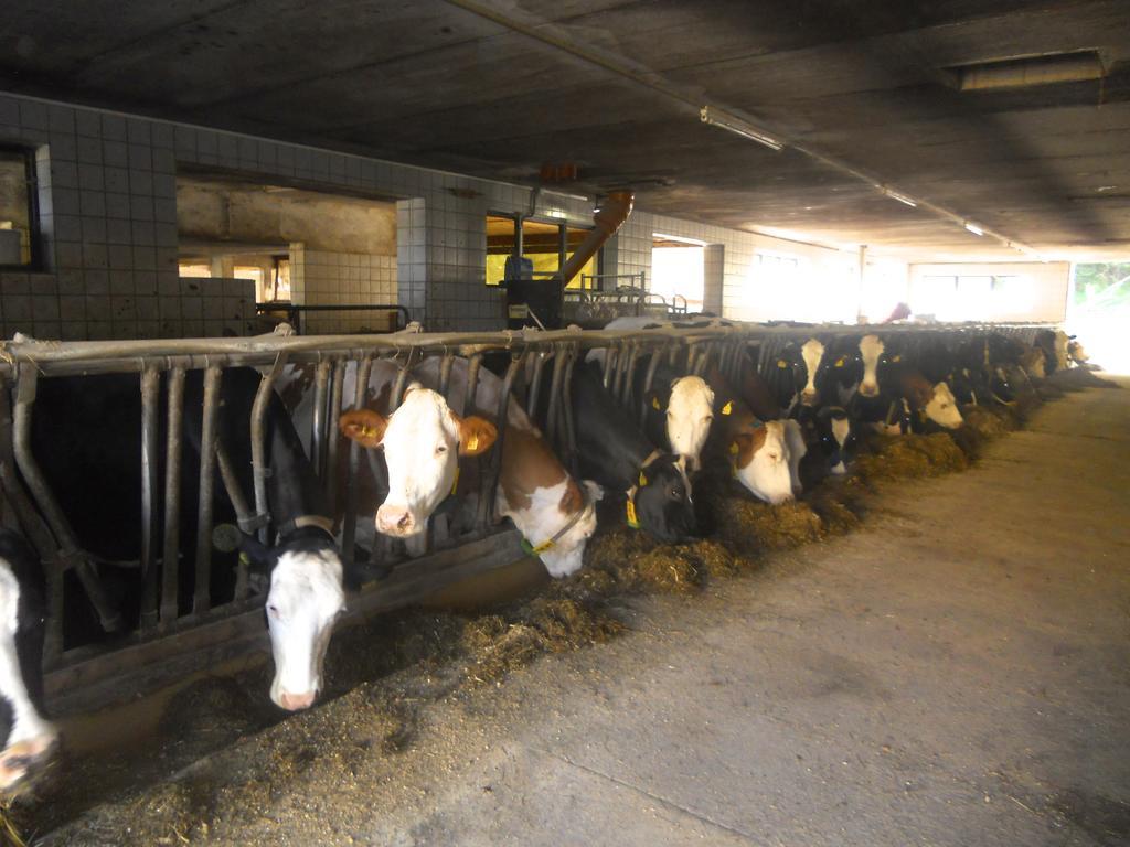 Ferienwohnung Am Bauernhof Strassonig Vulgo Hornis Moosburg Exteriér fotografie